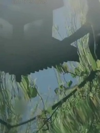 Episódio 56 - [Dublado]Agradecendo por seu engano juvenil