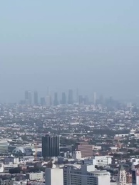 Episódio 33 - [Dublado]O Herdeiro que Voltou para Casa