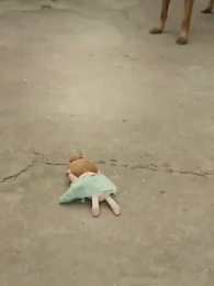 Episode 7 - Wronged Before, Now Fate is Reversed