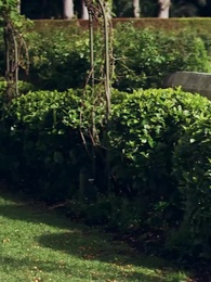 Ateşte Kalan Kalpler - Episode 25