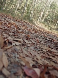 عرش الملك، وقلب الأم [مدبلج] - Episode 60