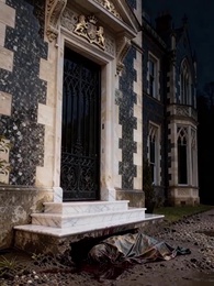 Episode 1 - The Matriarch’s Gambit