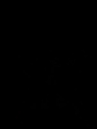 Episodio 46 - [Doblado]¡Atención! Mi Personal es de Rango S