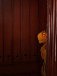 Épisode 45 - [Doublé]L'Héritière du Village des Méchants