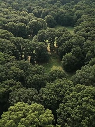 無家流浪者，我意外的伴侶 - Episode 1