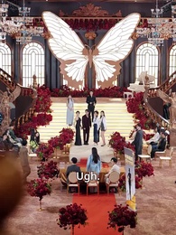 Episode 37 - The Moon’s Fall, My Rise