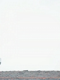 Cô Vợ Ngang Ngược - Episode 1