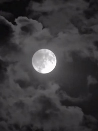 Episódio 39 - [Dublado]A Verdadeira do Palco