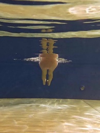 Episodio 4 - [Lồng tiếng]La Ignorada y la Consentida