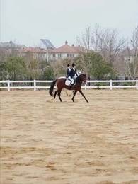 Episódio 34 - O Vento da Noite Leva o Amor