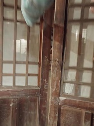 Episode 58 - [Synchron] Ein Niemand, doch des Kaisers Mutter