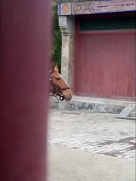 2화 - 과거로 돌아간 천재 과학자 아이