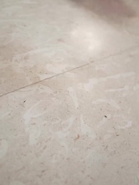 第55集 - 心寄山河山河遠