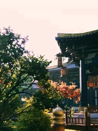 第38集 - 羊與蘭