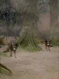 Quando Me Condenaram, Já Era Demônia - Episode 26