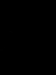 Episódio 31 - Mercado do Fim do Mundo