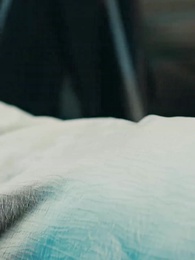 第42集 - 羊與蘭