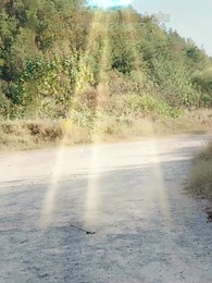 Episode 37 - Ketika Cinta Hanya Dusta