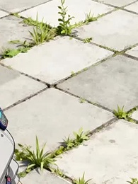 L'Avènement du Protecteur : Du Serpent au Dragon - Episode 28