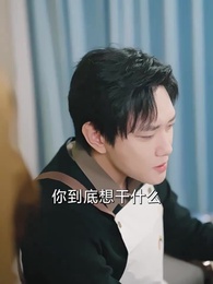 第17集 - 我只想離了這婚