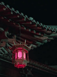 第55集 - 羊與蘭