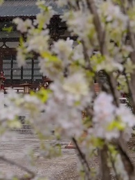 미망인의 연인 - Episode 80