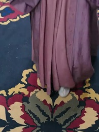 第29集 - 金殿淚