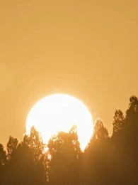 Episódio 11 - Bilionário por Acaso, Meu Amor para Sempre