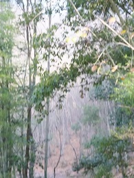 金殿淚 - Episode 50