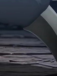 第33集 - 御獸:都進化那我返祖