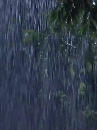 [Doublé]La Mariée Amnésique du Milliardaire - Episode 24