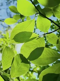 Episodio 53 - No Hay Vueltas Atrás