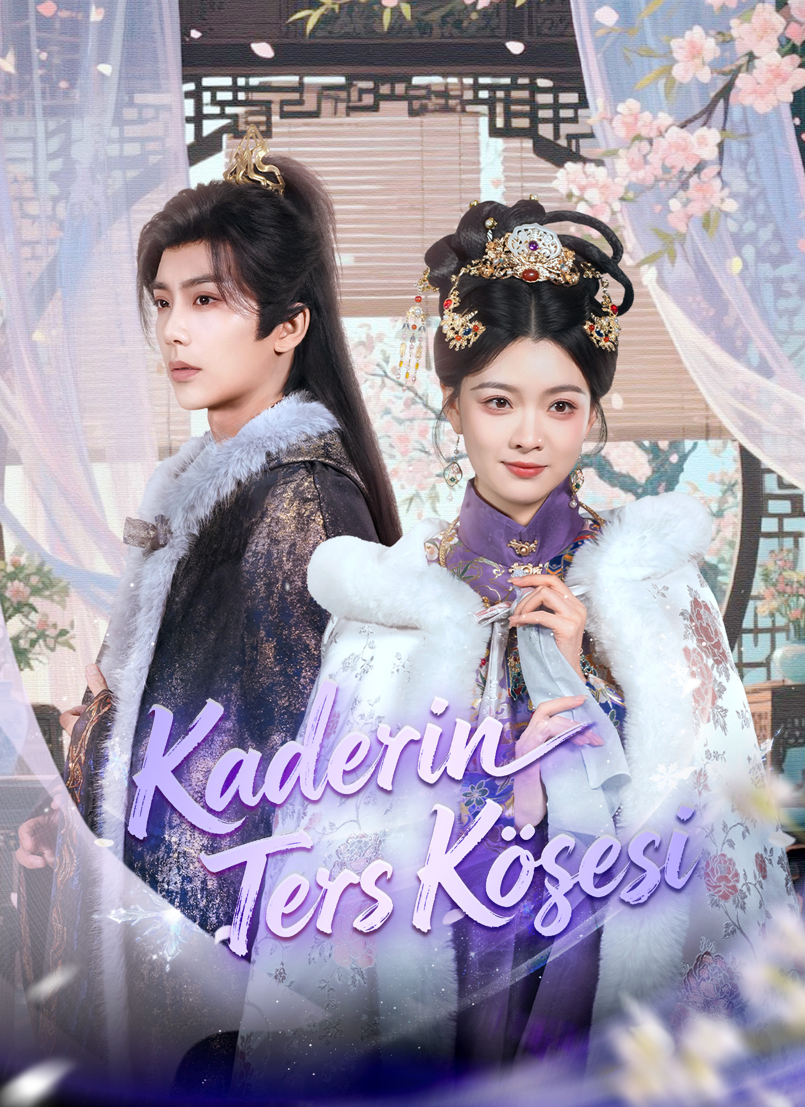 Kaderin Ters Köşesi dizi posteri