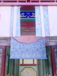 第61集 - 團寵肘子妃