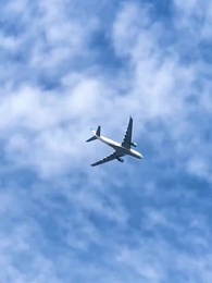 Отныне ты под моей защитой - Episode 1