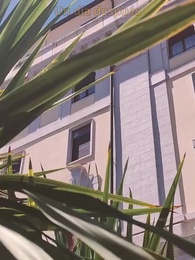 Episodio 14 - Solo Fue un Sueño