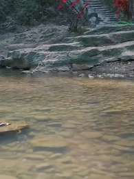 남장 공자의 학당 스캔들 - Episode 35