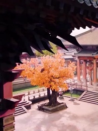 星落侯門百花殺 - Episode 54