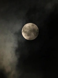 Episode 43 - Evelyn's Oath