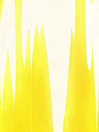 Bölüm 4 - Evrimin Yırtıcı Yolu