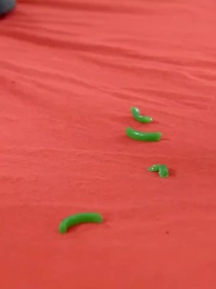 Tập 20 - Chị Đại Bảo Kê Em