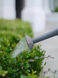 Episode 62 - Shadows of Vengeance