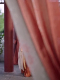 第43話 - 復讐の宮女