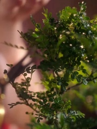 復讐の宮女 - Episode 29