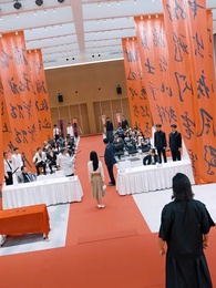 Maréchal Incognito - Episode 5