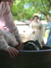 Episode 9 - Faith of the True Phoenix