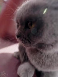 第31話 - 復讐の宮女