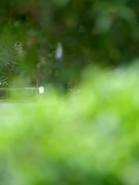 Chị Đại Bảo Kê Em - Episode 1