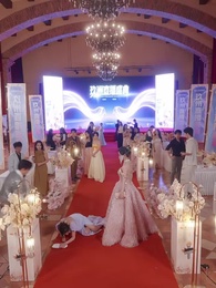 Episodio 17 - Metamorfosis en Vivo