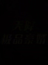 Épisode 25 - Le Gendre Miracle